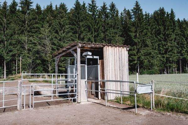 Aktivstall Computergesteuerte Fütterungsanlage:Plochersystem_1