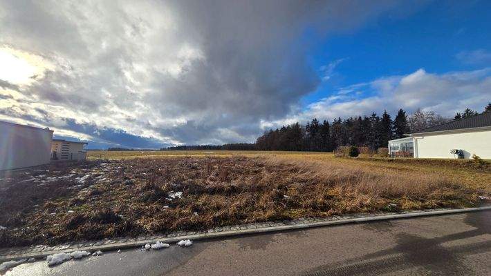 Freie Sicht in die Natur