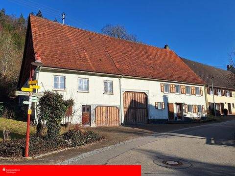 Reichenbach Häuser, Reichenbach Haus kaufen