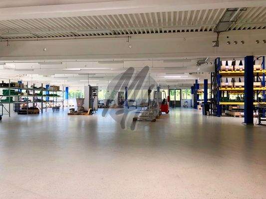 INFOS UNTER: 06171-586000