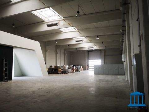 Theresienfeld Halle, Theresienfeld Hallenfläche