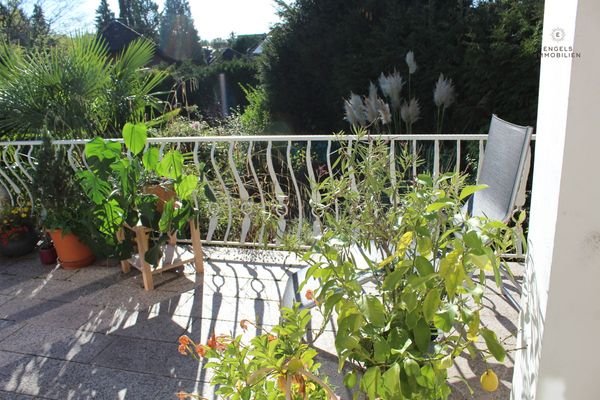 Ausgang vom Wohn- und Esszimmer auf die große Terrasse