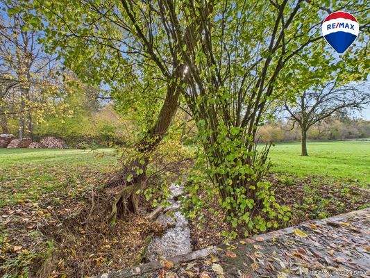 REMAX Immobilien DeLux Einfamilienhau Garten Ballweiler Mark Borowicz