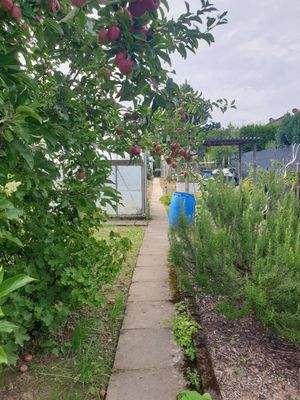 Teilansicht Garten (4)