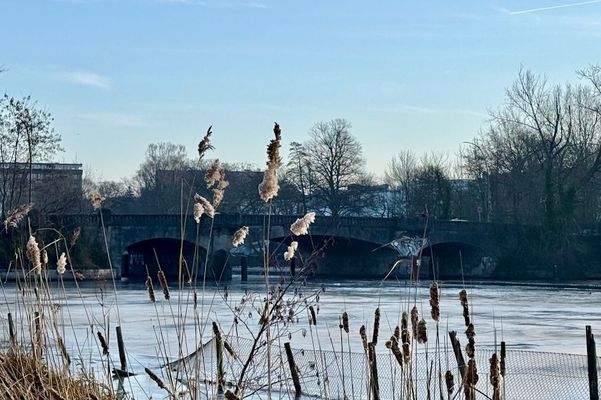 Die Alster um die Ecke