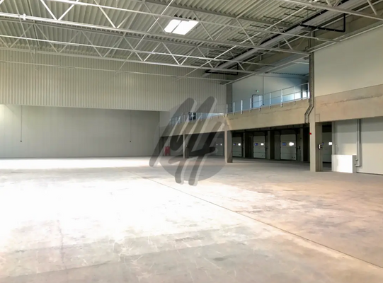 INFOS UNTER: 06171-586000