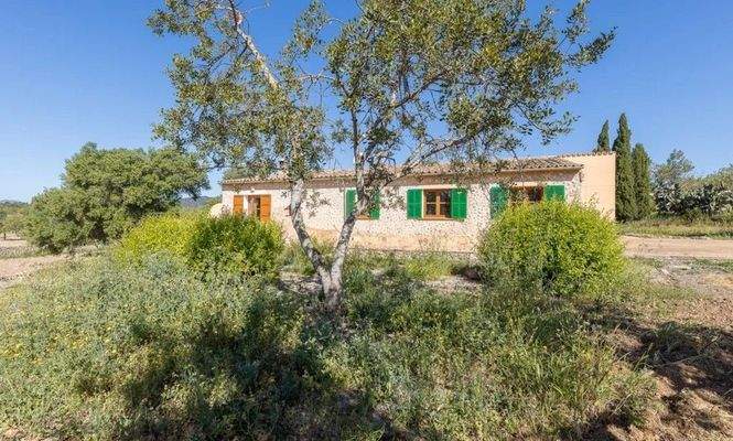 Finca zum Ausbau zwischen Santa Maria und Alaró zu verkaufen, Mallorca