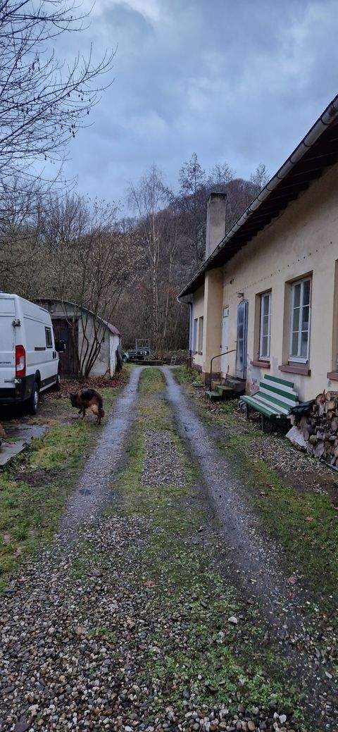 Bad Ems Halle, Bad Ems Hallenfläche