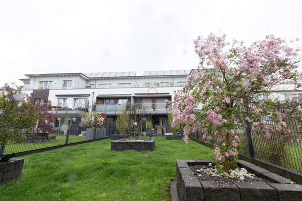 Angelegter Garten