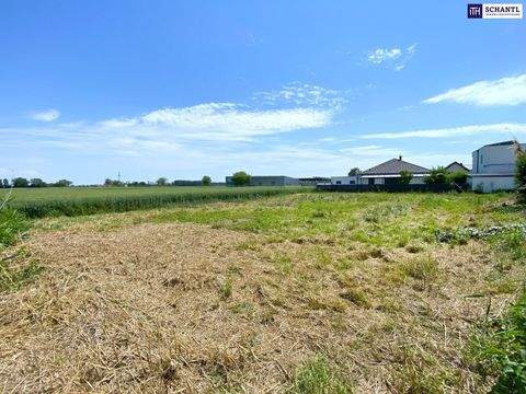 Mitterndorf an der Fischa Grundstücke, Mitterndorf an der Fischa Grundstück kaufen