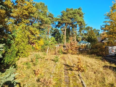 Königs Wusterhausen Grundstücke, Königs Wusterhausen Grundstück kaufen