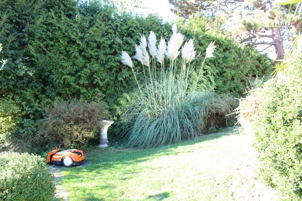 Gartenansicht mit Mähroboter