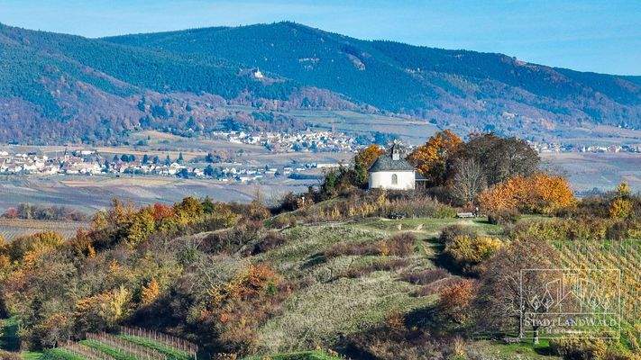 Kleine Kalmit in Ilbesheim