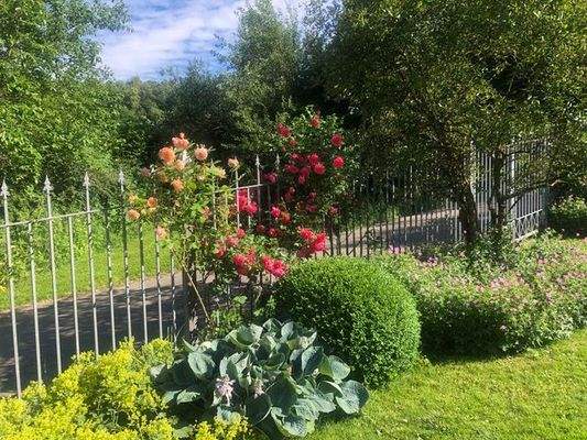 Ein Traum in der Natur