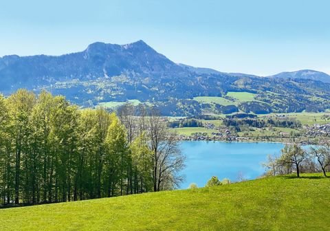 Mondsee Wohnungen, Mondsee Wohnung kaufen