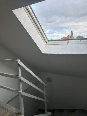 WhatsApp Image 2025-09-05 at 10.15.49 (19).jpeg