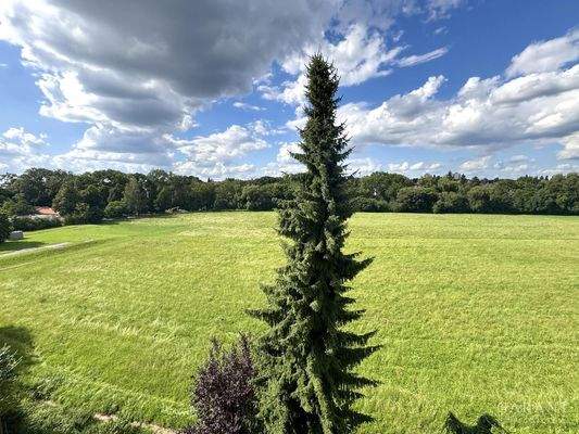 Ausblick / Wohnräume