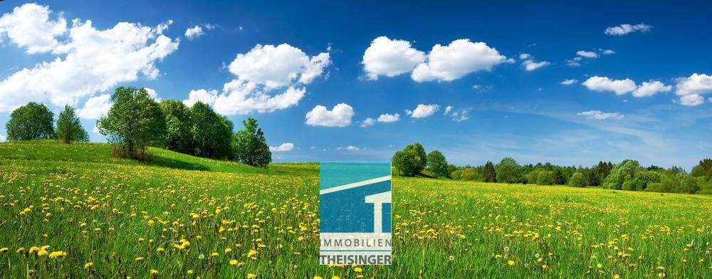 Grundstück in Kinding, Theisinger Immobilien
