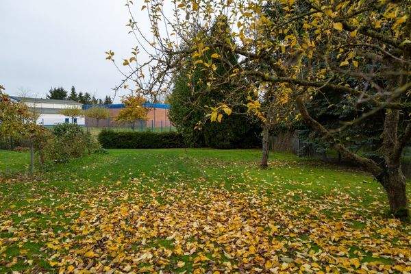 Großer Garten im Herbst