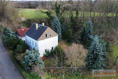 Nobitz Häuser, Nobitz Haus kaufen