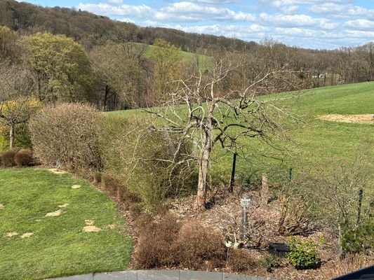 Ausblick
