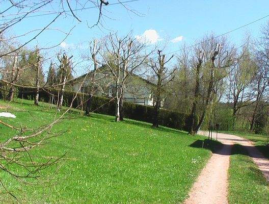 20 Zufahrt Ansicht West mit Naturweg.JPG