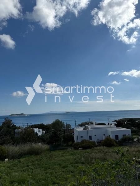 Gavrio, Andros Bauernhöfe, Landwirtschaft, Gavrio, Andros Forstwirtschaft