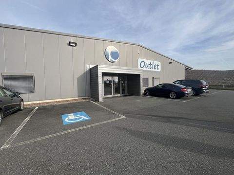 Hafenlohr Halle, Hafenlohr Hallenfläche