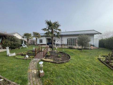 Weiskirchen Häuser, Weiskirchen Haus kaufen