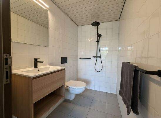 Gestaltungsidee Duschbad Erdgeschoss