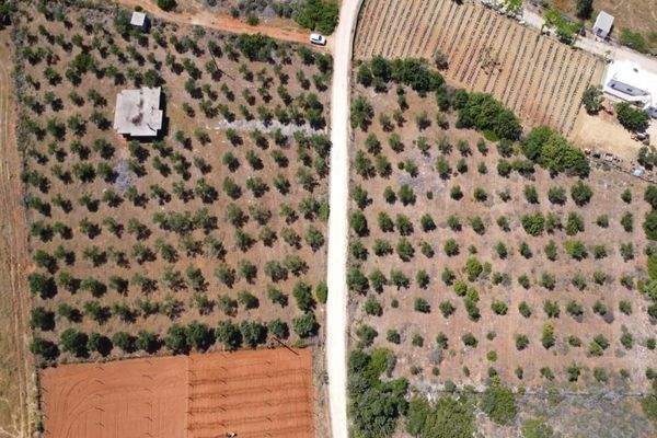 Kreta, Mouzouras: Flaches Grundstück mit Panoramablick zu verkaufen