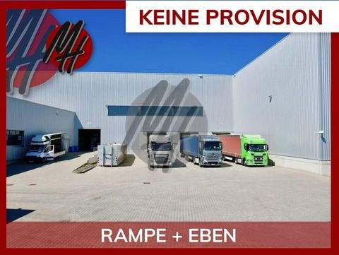 Wörrstadt Halle, Wörrstadt Hallenfläche