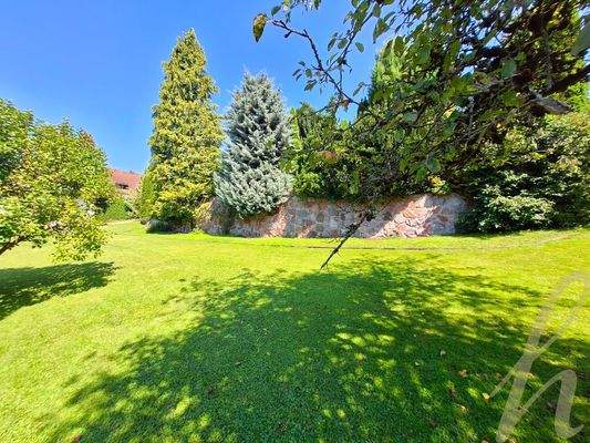 Petra Huber Immobilien TIROL und VORARLBERG