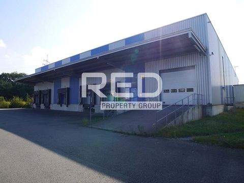 Bergkamen Halle, Bergkamen Hallenfläche