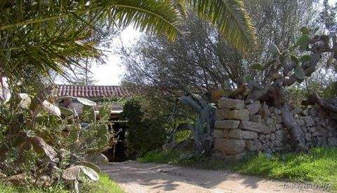 Arzachena Häuser, Arzachena Haus kaufen