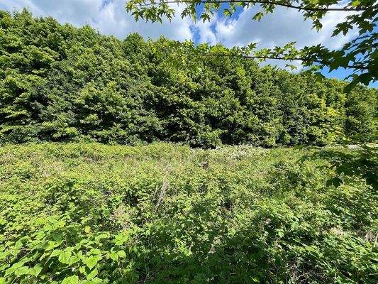 Hinter dem Grundstück