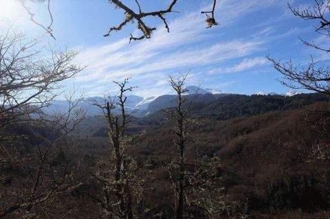 Curarrehue/ Quililche Grundstücke, Curarrehue/ Quililche Grundstück kaufen