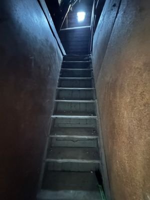 IMG_4522.jpg