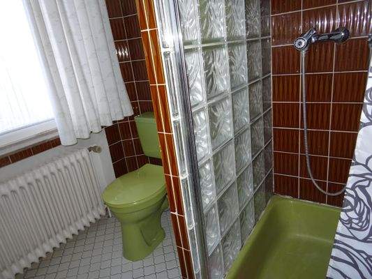Duschbad im OG