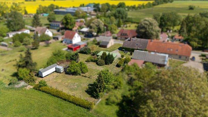 Blick in den großen Garten