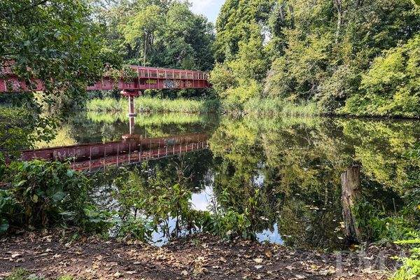 direkte Lage am Schwanengraben