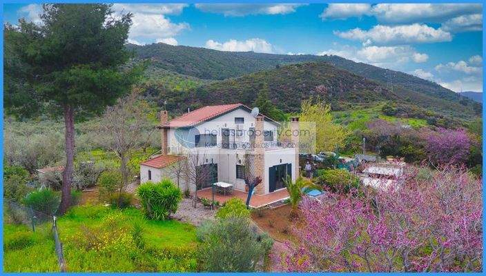 f1a8fc925b4b4f3e996e687abba60293-original