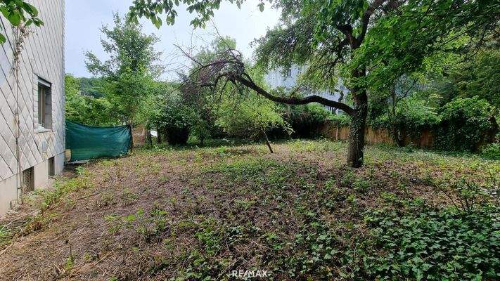 Garten hinter dem Haus