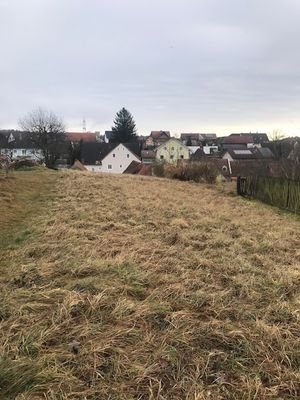 IMG_1672.jpg