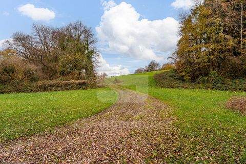 Hennef Industrieflächen, Lagerflächen, Produktionshalle, Serviceflächen