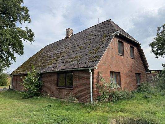 Seitenansicht vom Garten