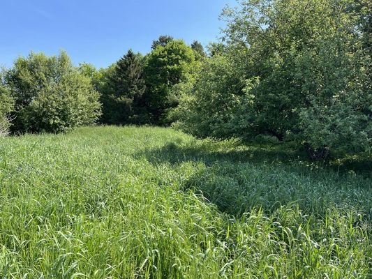 Grundstück Sommer