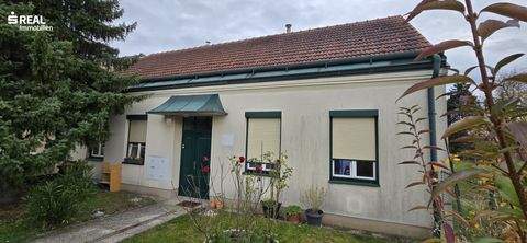 Asparn an der Zaya Häuser, Asparn an der Zaya Haus kaufen