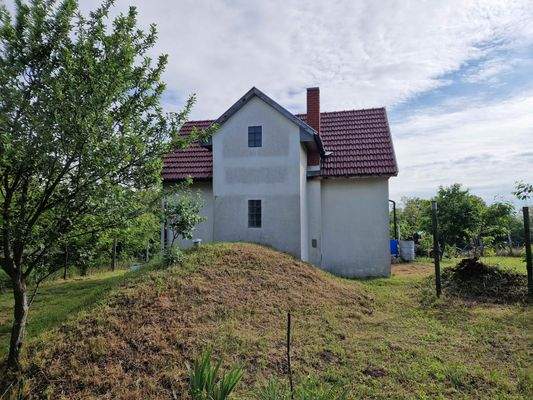 20250507_084532 (1).jpg