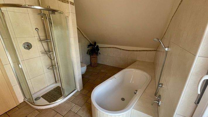geräumige Dusche und WC-Nische